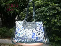 woman coach sac discount 2013 new ch-12018 motif de la pierre bleue